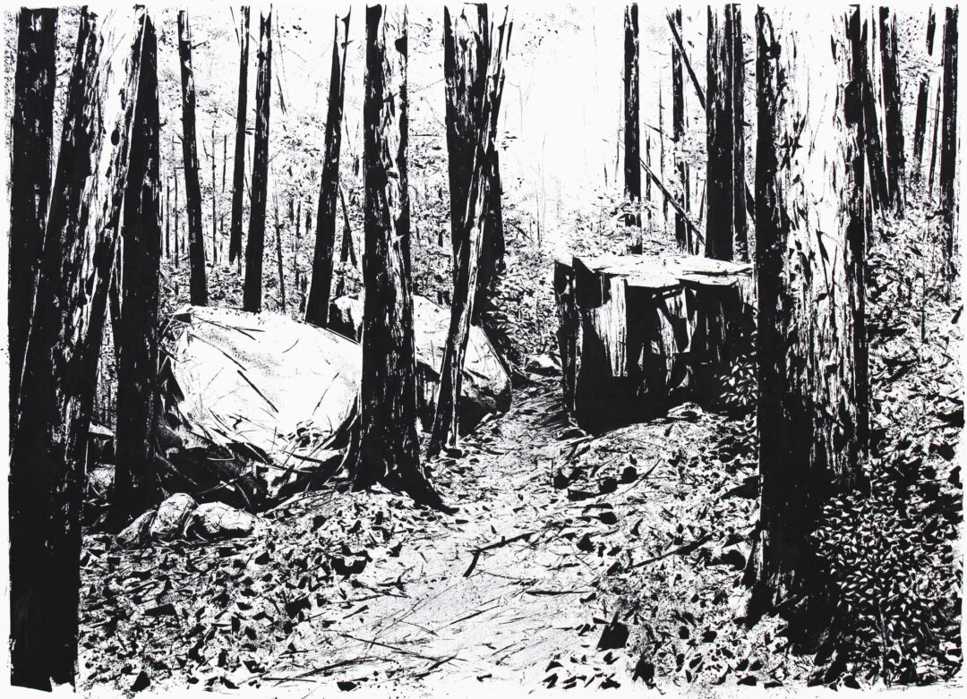 Into the WoodsGouache on Paper26.5 x 34.5 Framed$1,950
